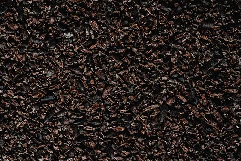 /img/32316-dark-chocolate-consult-dermatologist.webp